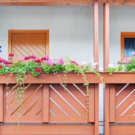 Apartment Landhotel Zum Storchennest Bann Bagian luar foto